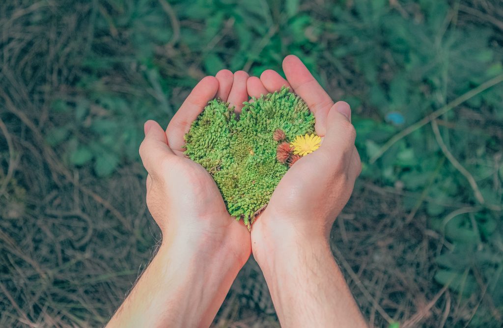 Canlıları ve doğayı koru