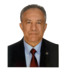 Metin Özçelik